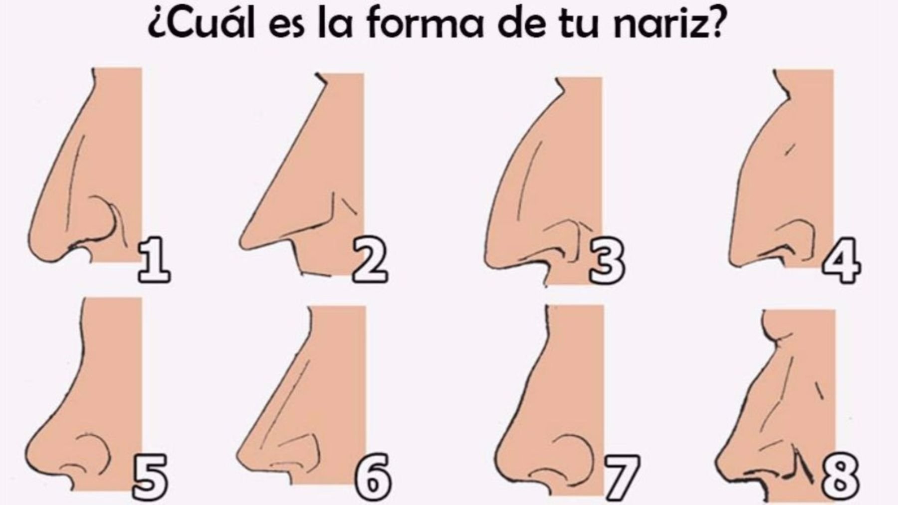 Formas diferentes de narices. Foto: Pinterest