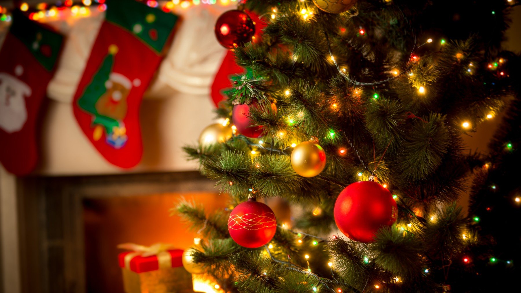 Árbol de Navidad. (iStock)