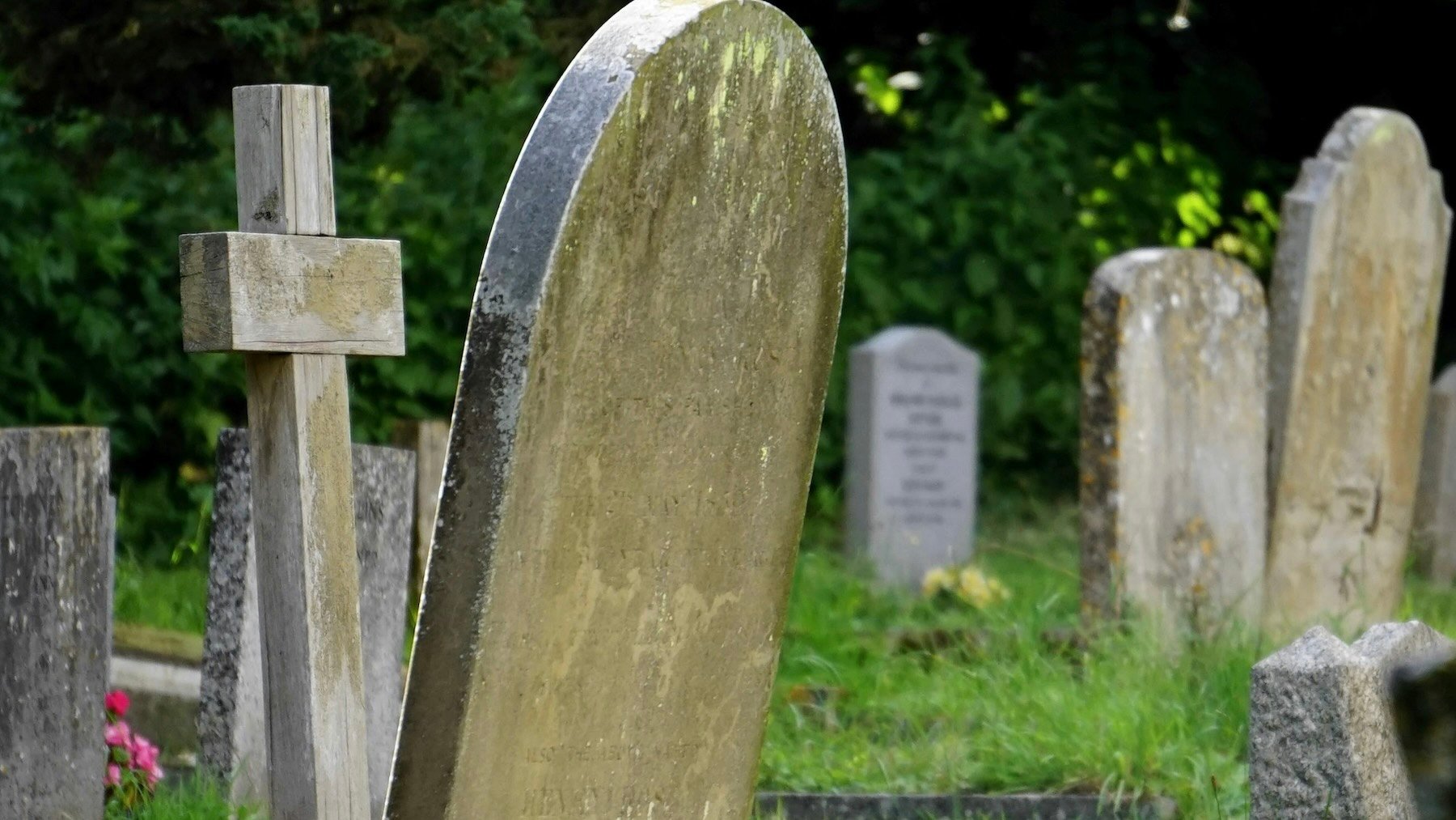 Cementerio. Foto: Pexels.