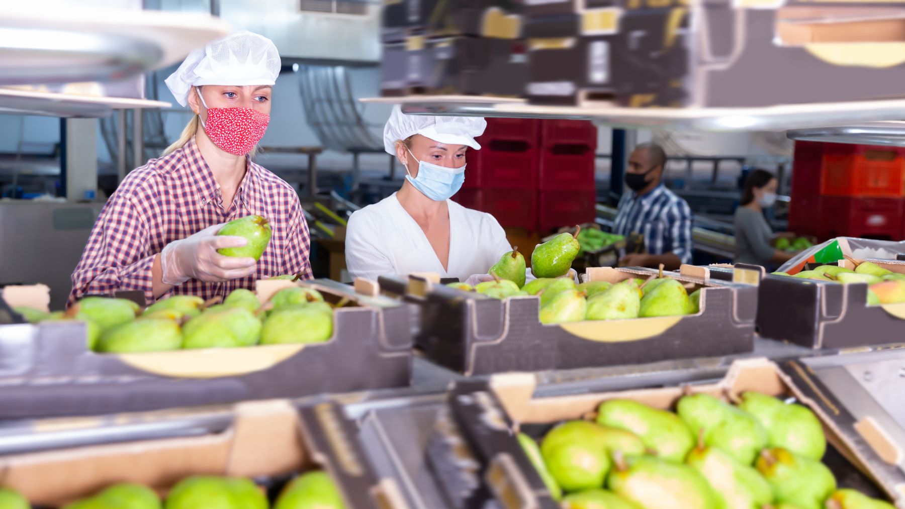 Unas trabajadoras de la industria alimentaria.