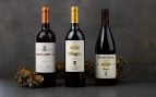 Mejores tiendas de vinos 2026