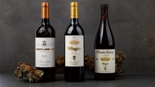 Mejores tiendas de vinos 2026