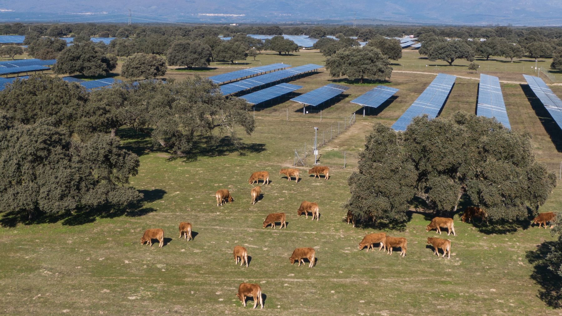 Planta solar Talayuela II Statkraft, Cáceres