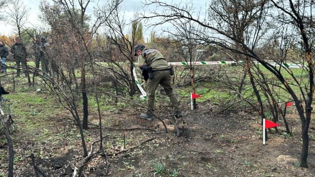 perros madrid incendios