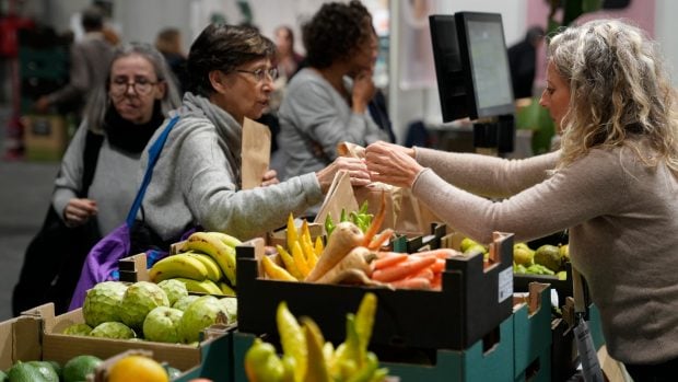 Estand de verduras y frutas en Biocultura