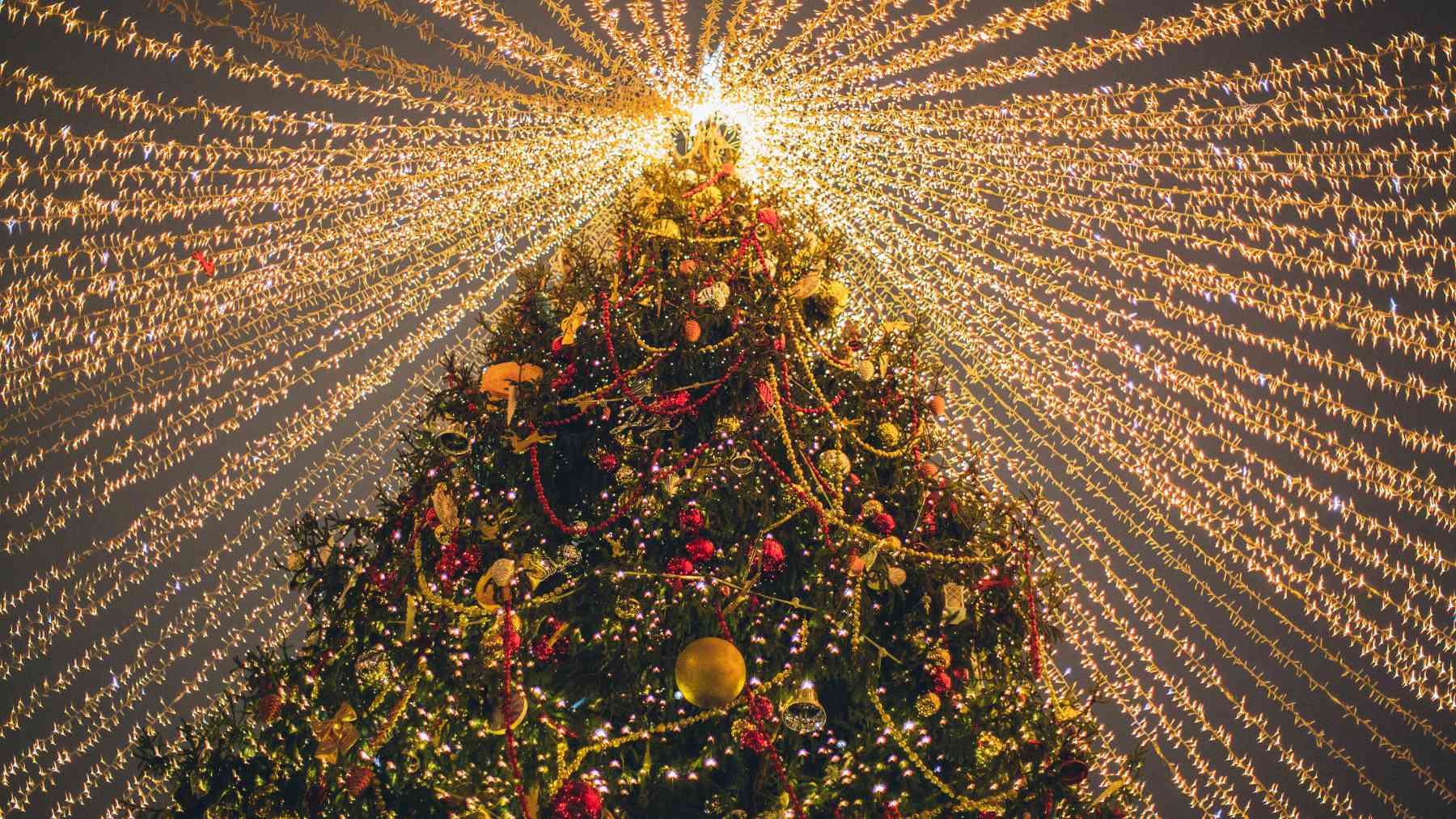 Árbol de Navidad.