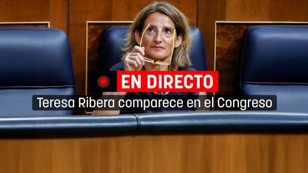 Comparecencia de Teresa Ribera en el Congreso de los Diputados