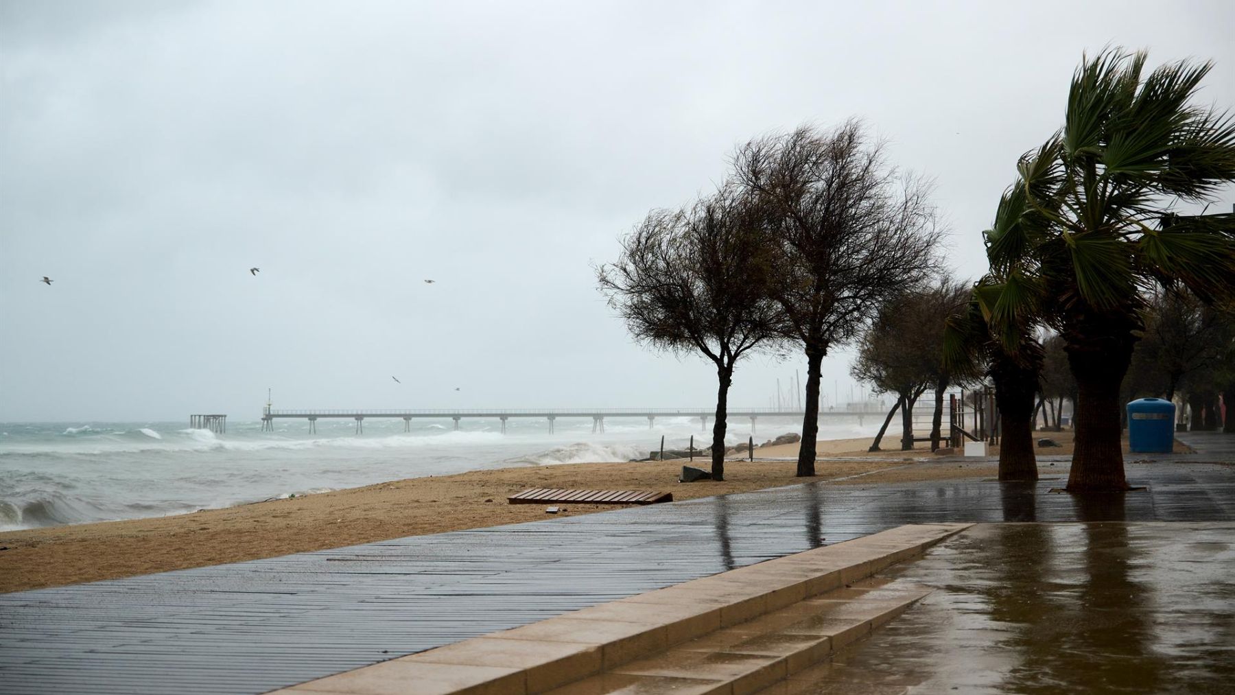 Alerta amarilla por viento.