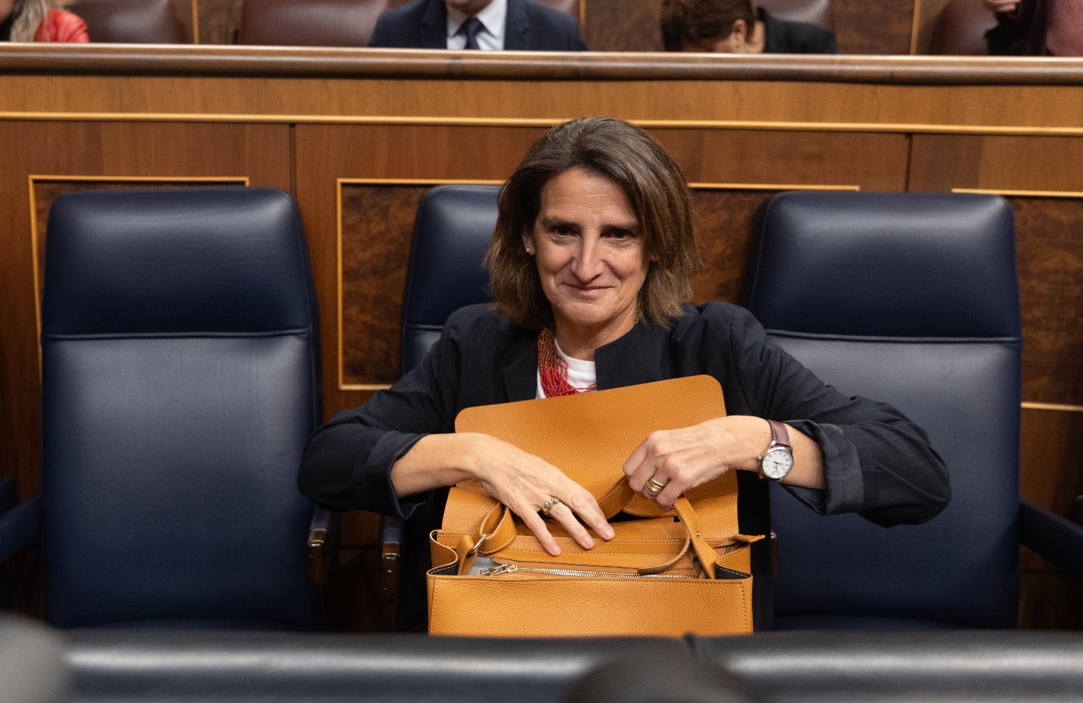 Teresa Ribera, en el Congreso de los Diputados.