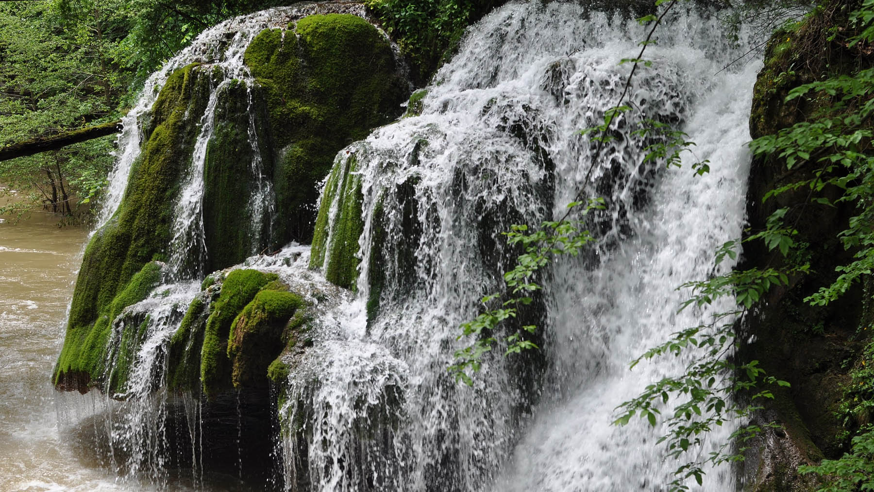 Cascada Bigar en Rumania. Foto: Flori & Nicu Farcaș en Wikimedia Commons.