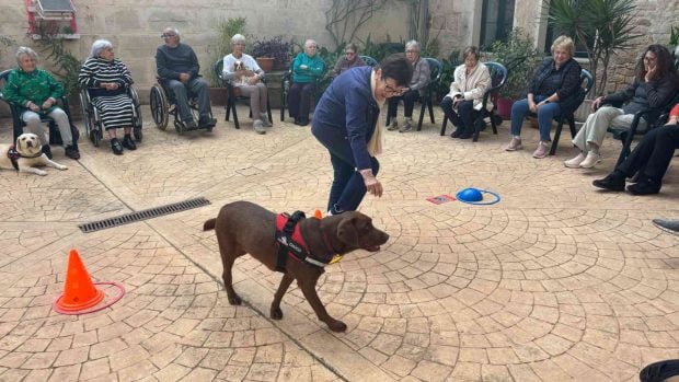 perros Llucmajor personas mayores autónomas