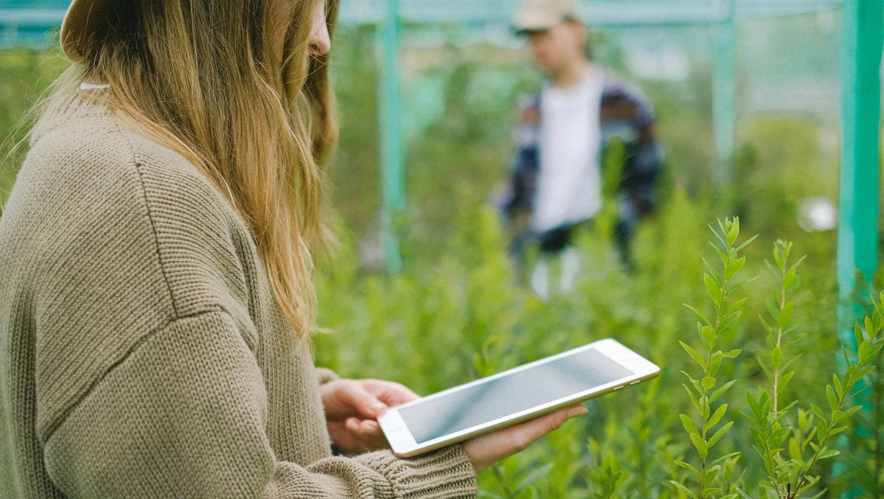 La biotecnología en agricultura.