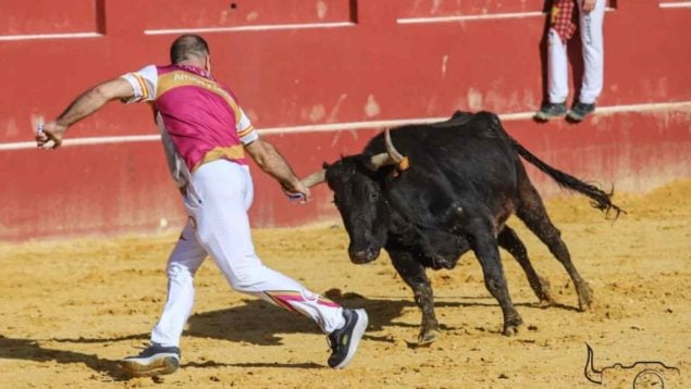 Aragón festejos taurinos Valencia