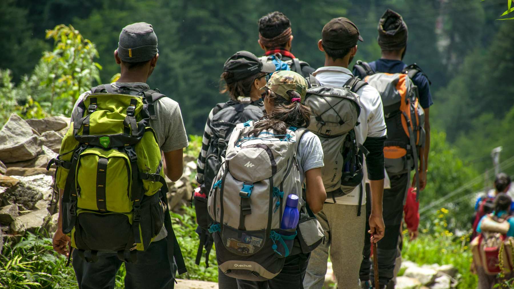 Turismo en la conservación de la fauna.