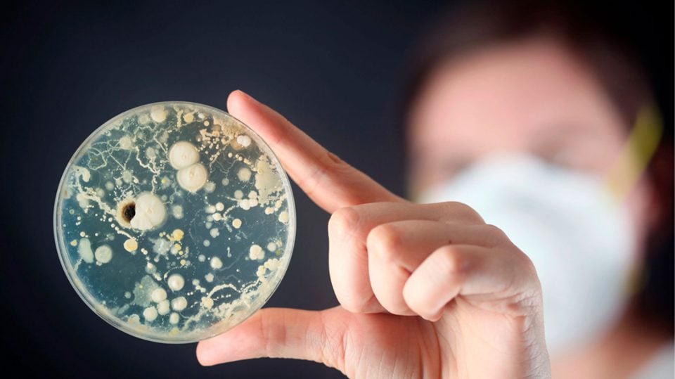 ¿Un futuro sin antibióticos? Las bacterias resistentes van ganando terreno