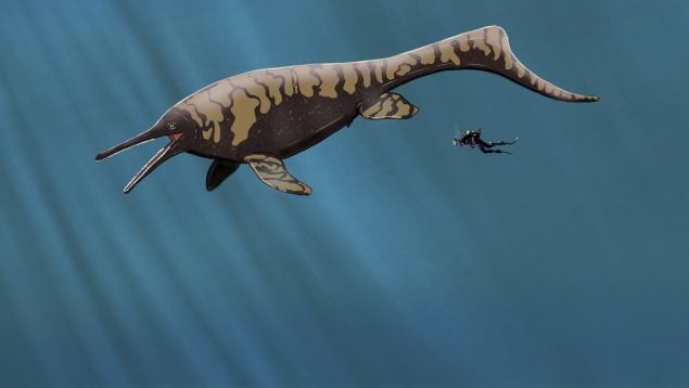 Dinosaurio, Ictiosaurio, Monstruo Marino, Ilustración