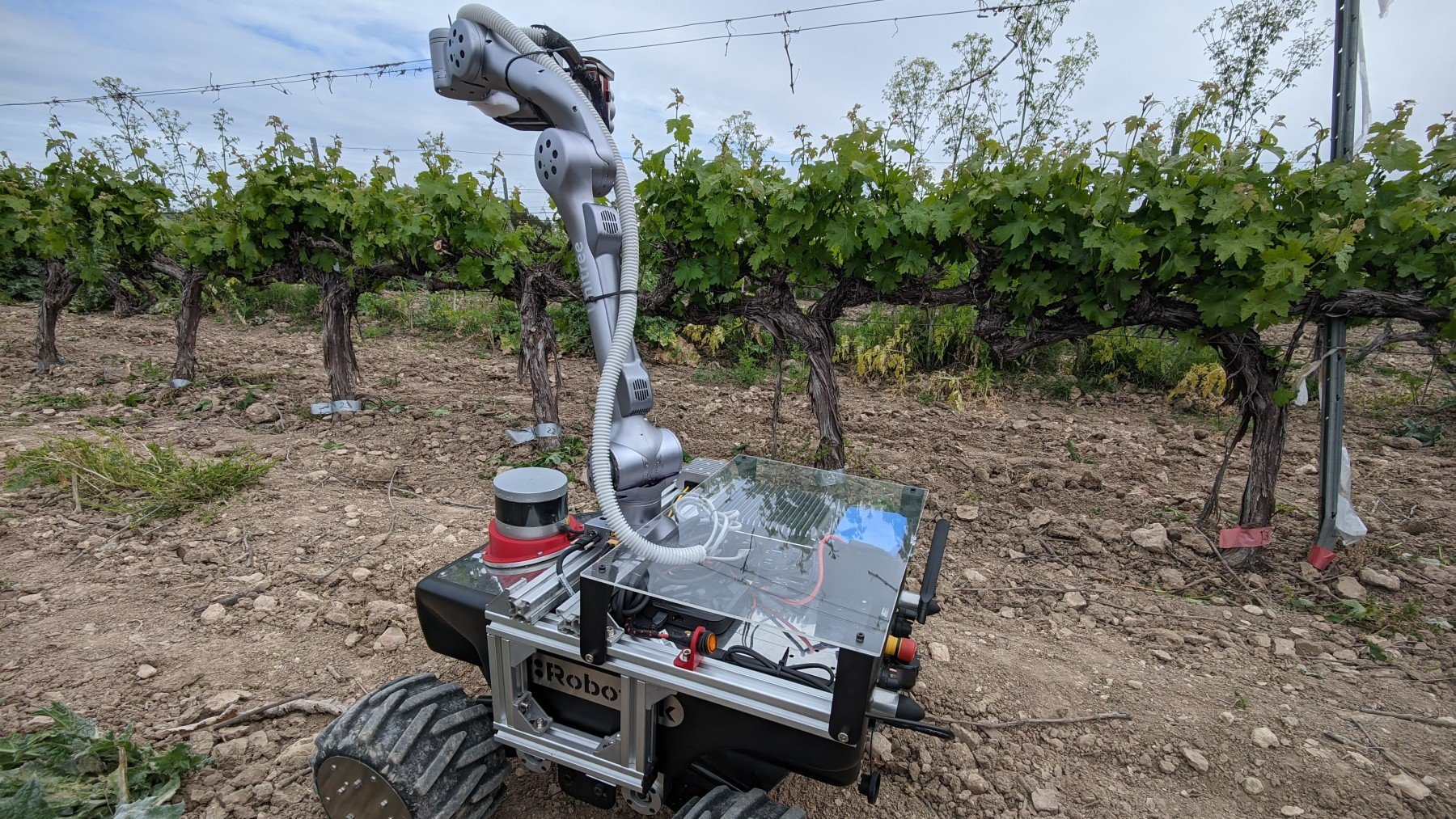 La tecnología al servicio de los agricultores para optimizar la cosecha