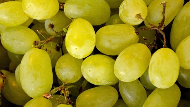 truco para pelar uvas, el truco para pelar las uvas, pelar las uvas en un segundo, cómo pelar uvas para Nochevieja, truco sencillo uvas