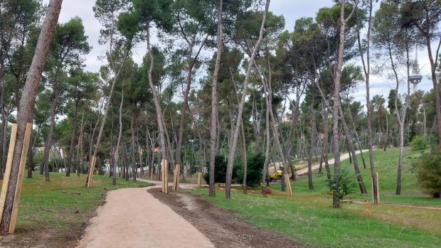 Zona de arbolado en Pinar de la Elipa en Madrid