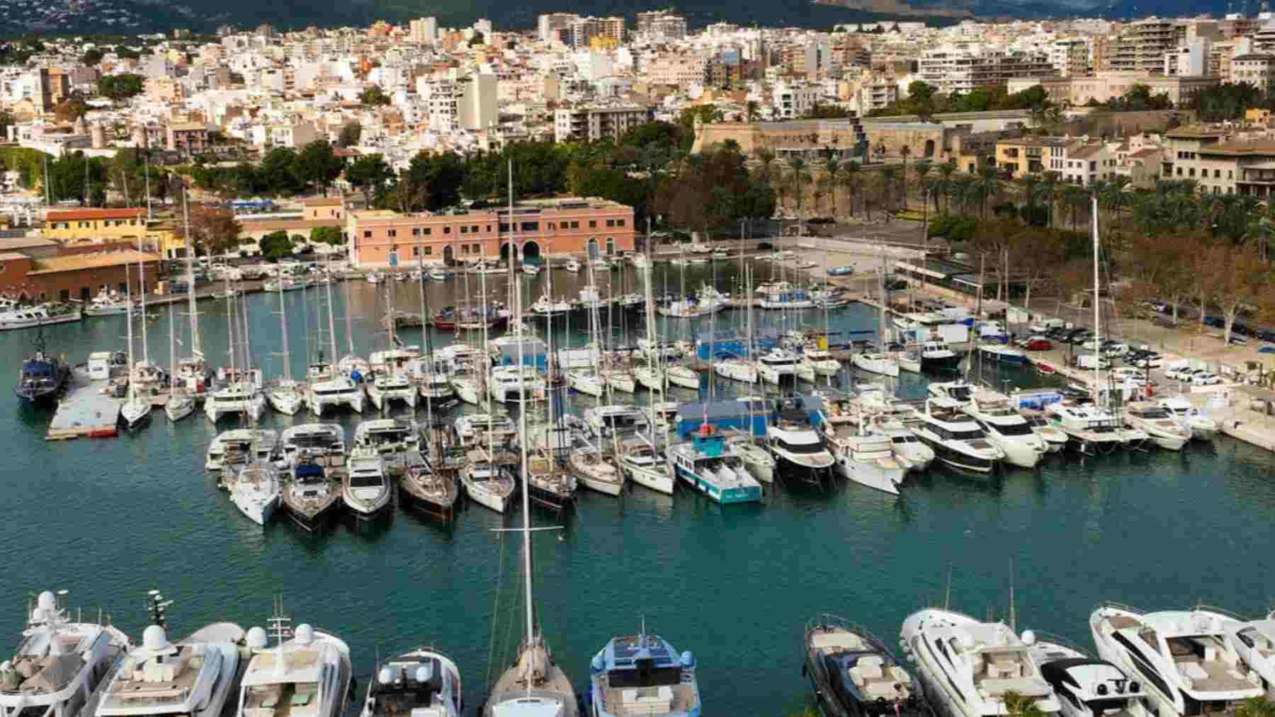 La Lonja Marina Charter seguirá explotando los amarres del muelle Lonja del puerto de Palma.