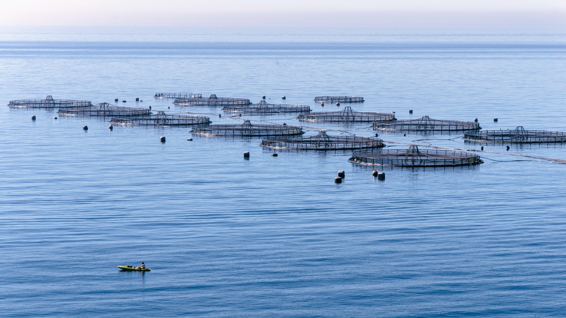 Instalación de acuicultura en el Mar Mediterráneo