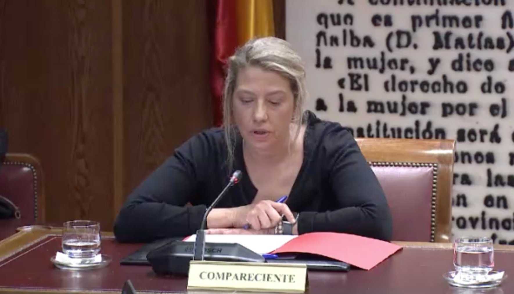 María Cristina Álvarez, en el Senado.