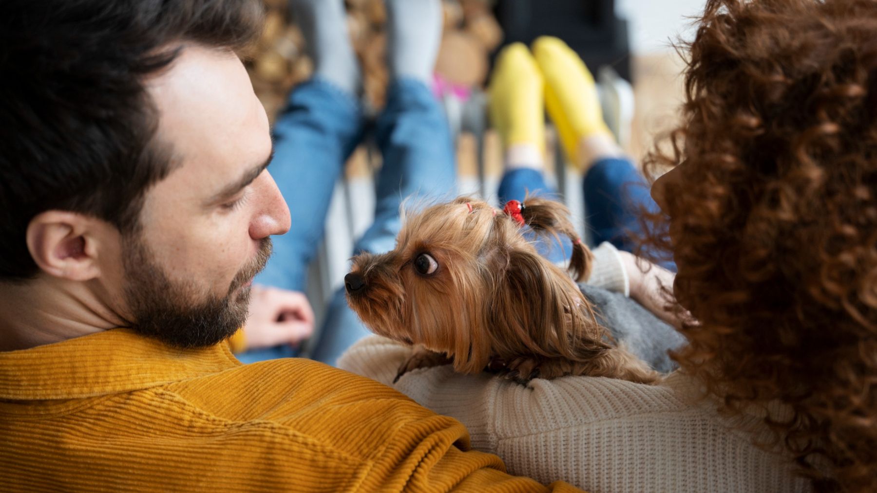 Un Sorprendente Estudio Revela Que Los Perros Son Capaces De Detectar Cu Ndo Su Due O Est Mintiendo