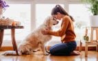El tiempo que debes pasar con tu perro