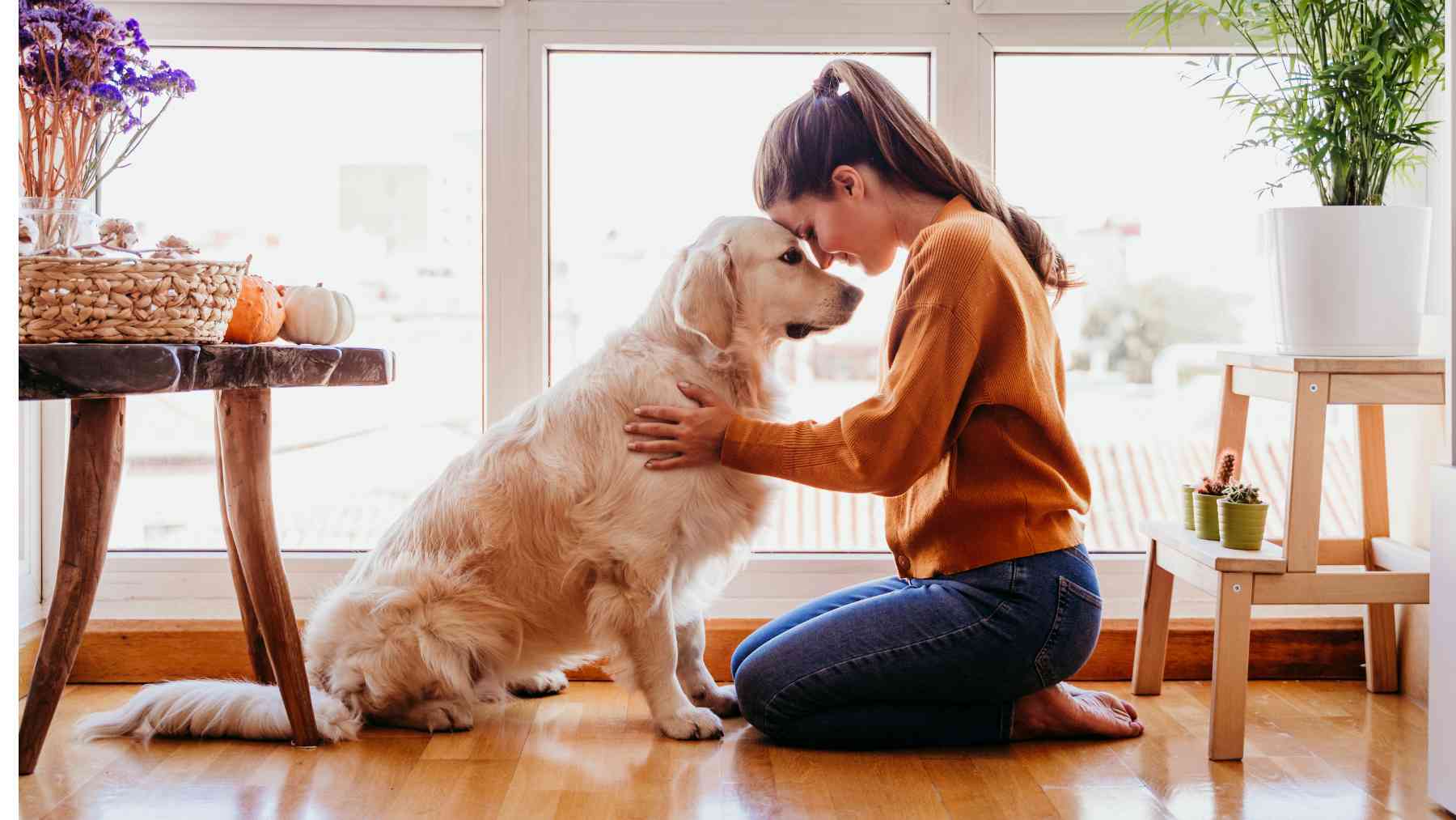 Una joven con su perro.