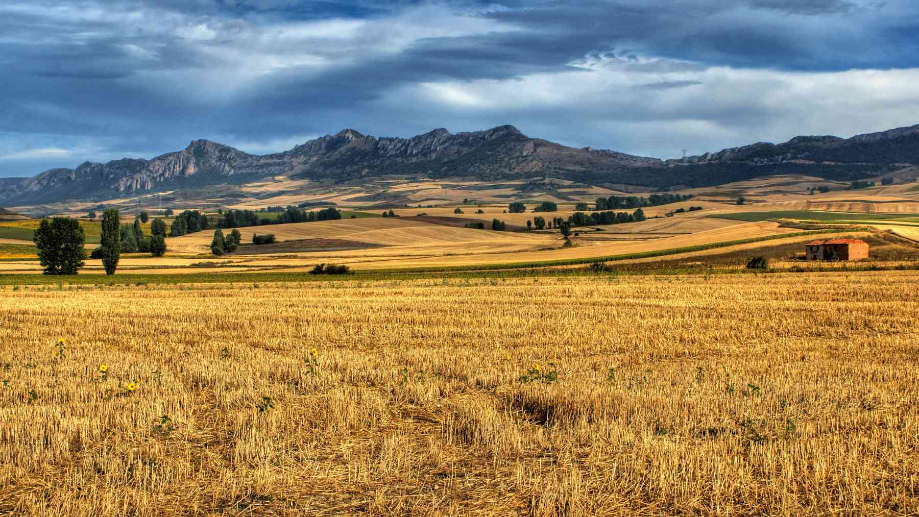 Paisaje de Castilla-La Mancha.