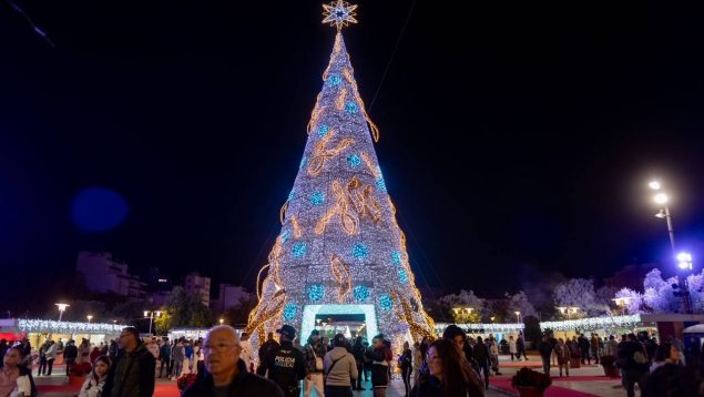 palma navidad