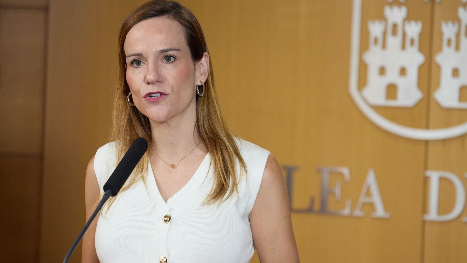 Isabel Pérez Moñino-Aranda, portavoz de Vox en la Asamblea. (Foto: EP)