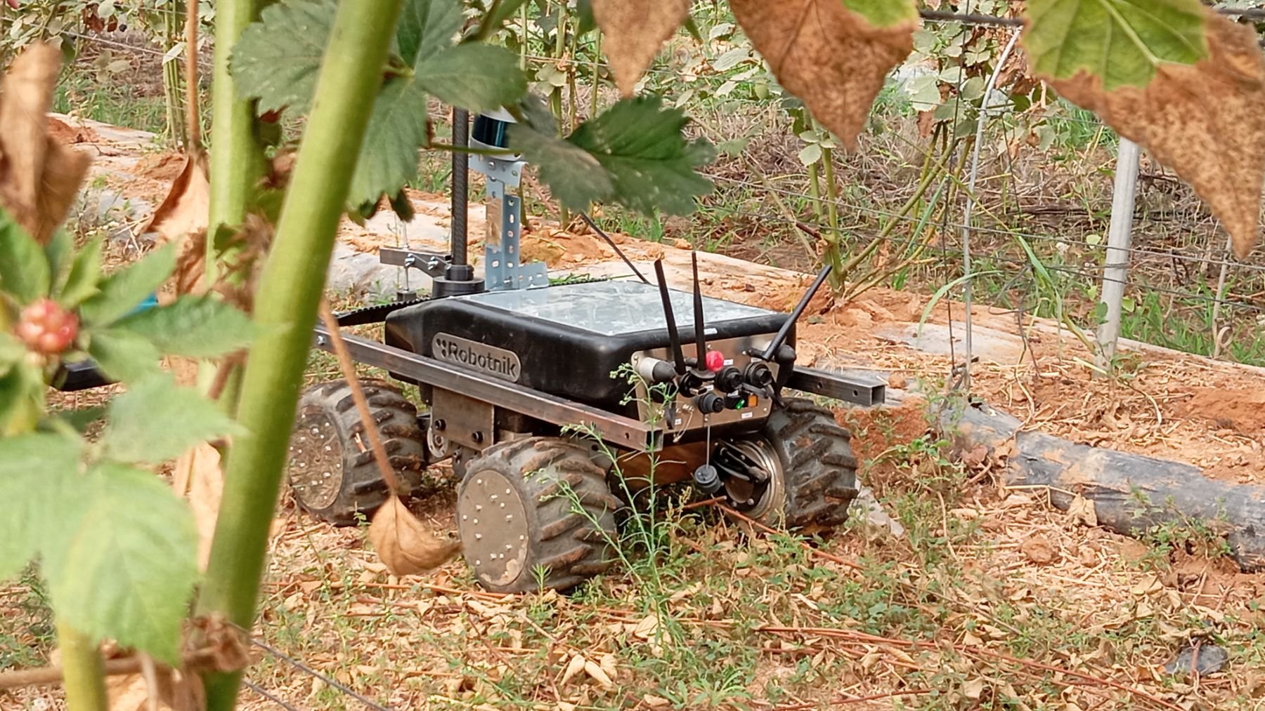 Bioterrabot, un proyecto que fusiona tecnología y biodiversidad