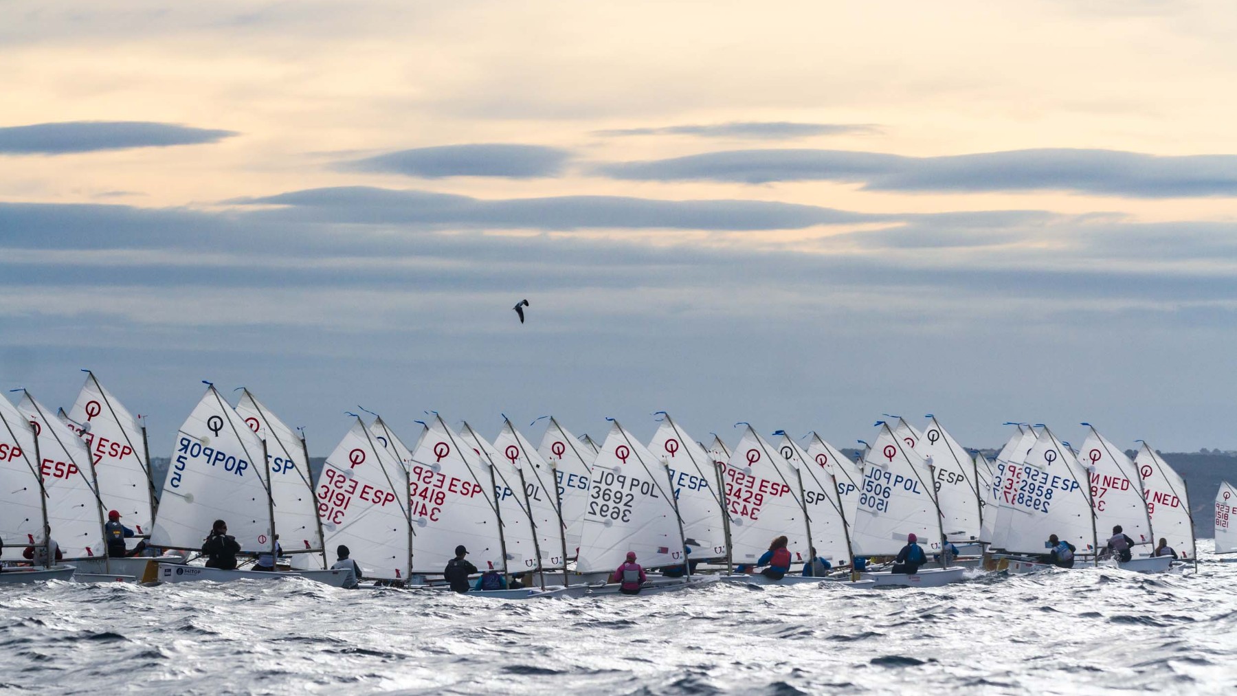 Un momento de la regata.