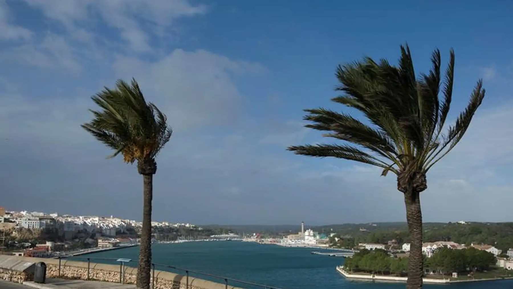 Alerta en Palma por fuertes vientos | Agencia EFE