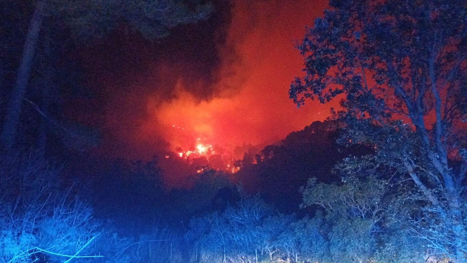 Incendio forestal en Andratx. (IBANAT)