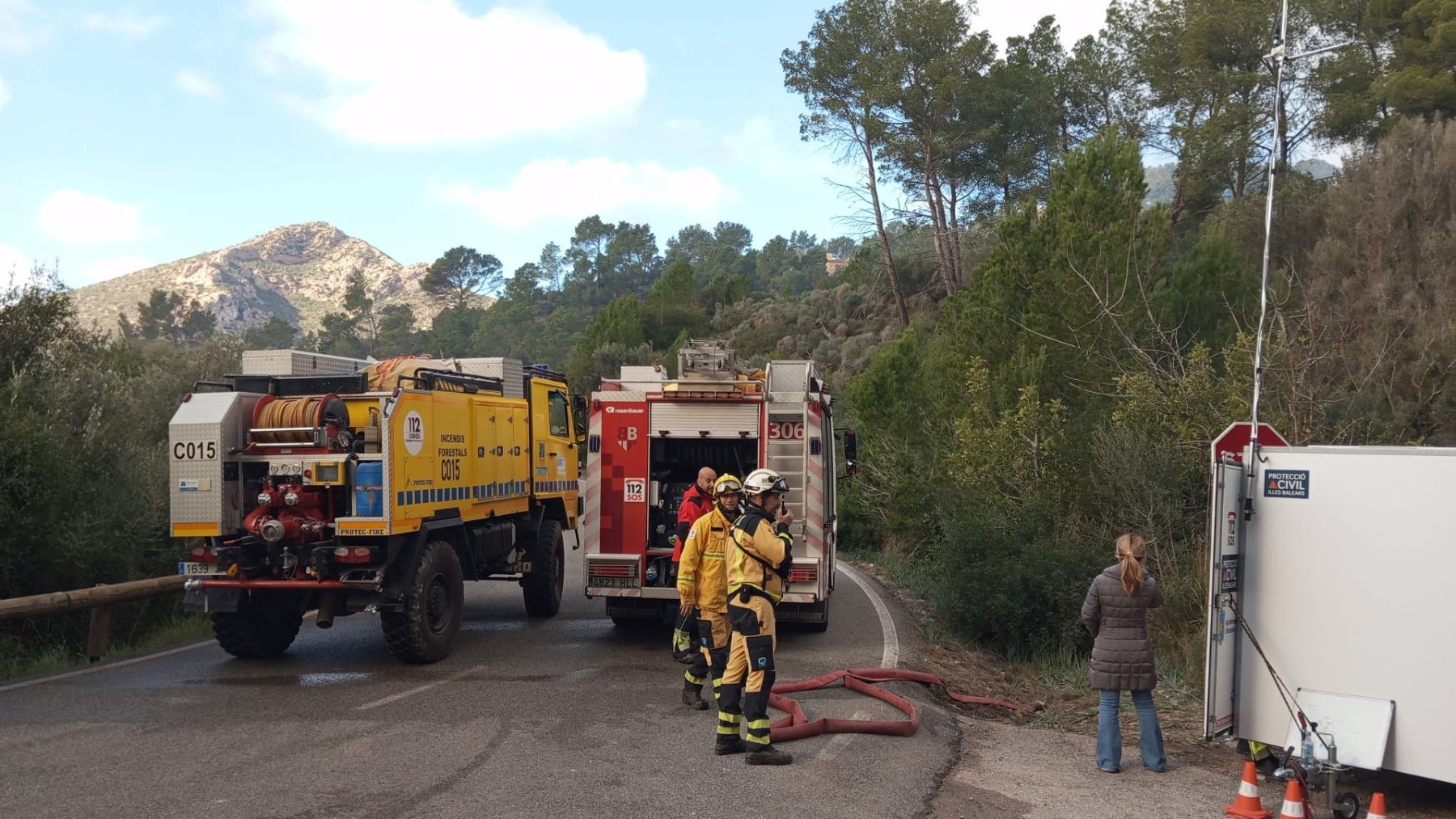 Incendio forestal en Andratx.