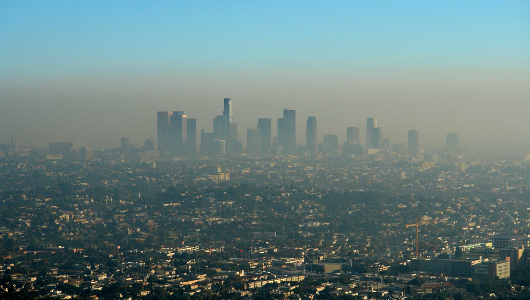 La contaminación del aire.