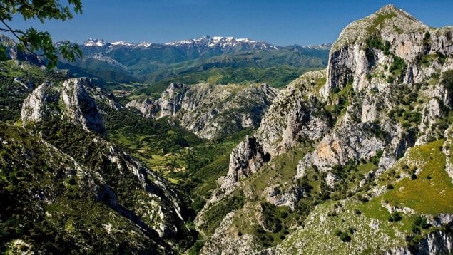 descubrimiento de la guerra civil, hallazgo de cueva refugio en Cantabria, descubrimiento de la Guerra Civil en Cantabria, descubrimientos historia de España