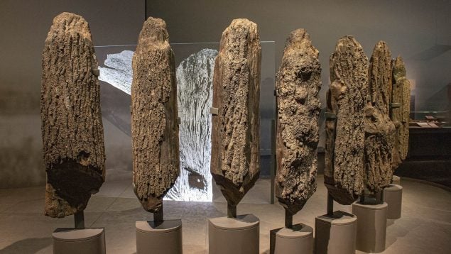 Stonehange acuático, arqueología, Reino Unido, Seahenge