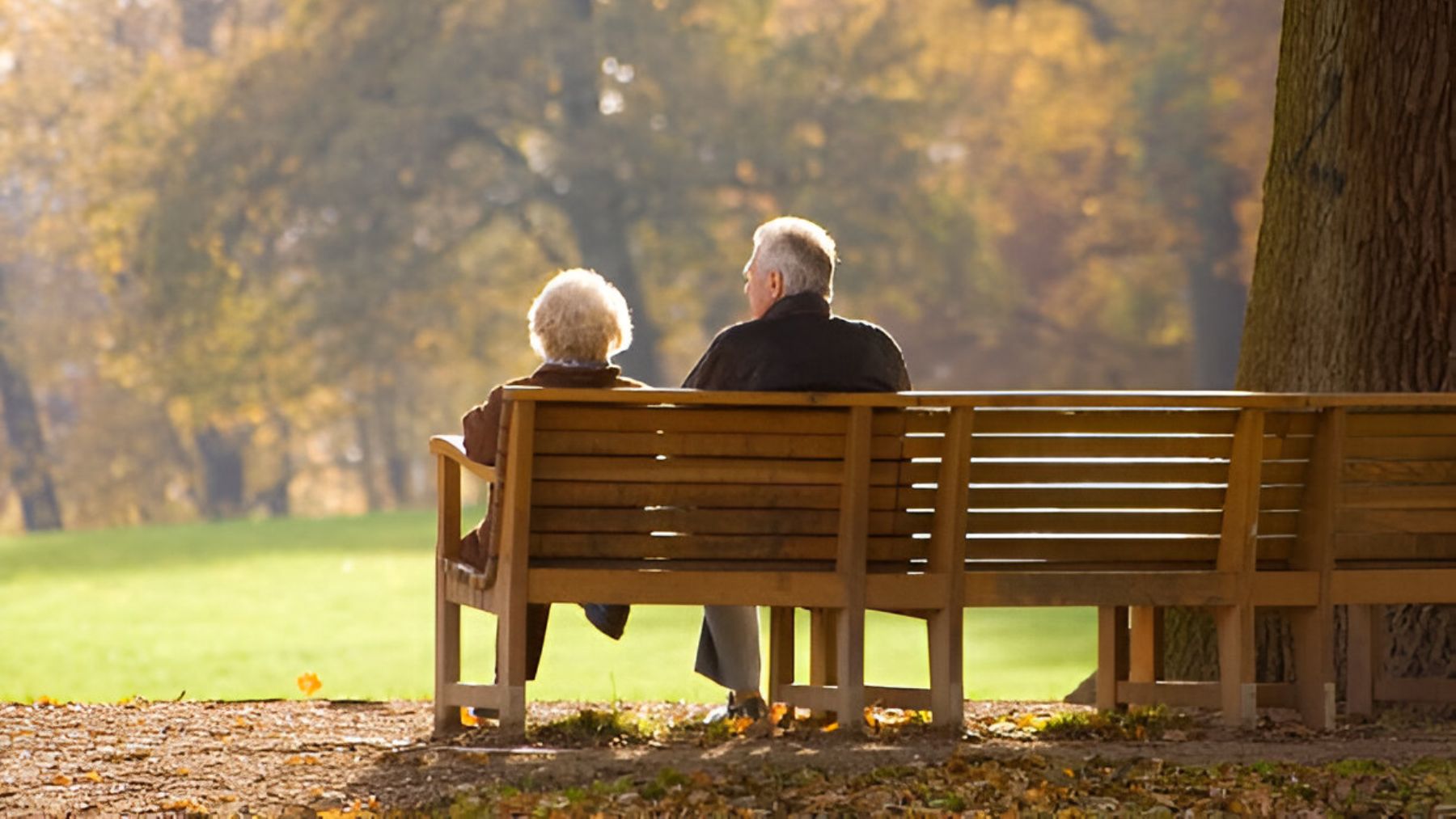 Pareja de ancianos de espaldas en un banco.