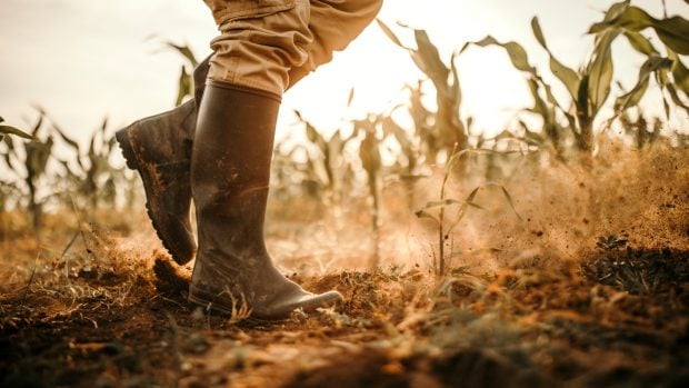 pequeño agricultor