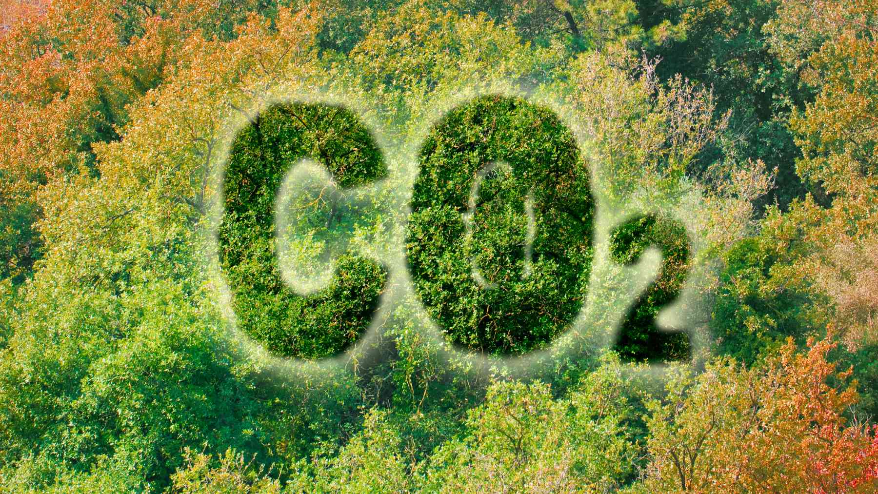 CO2