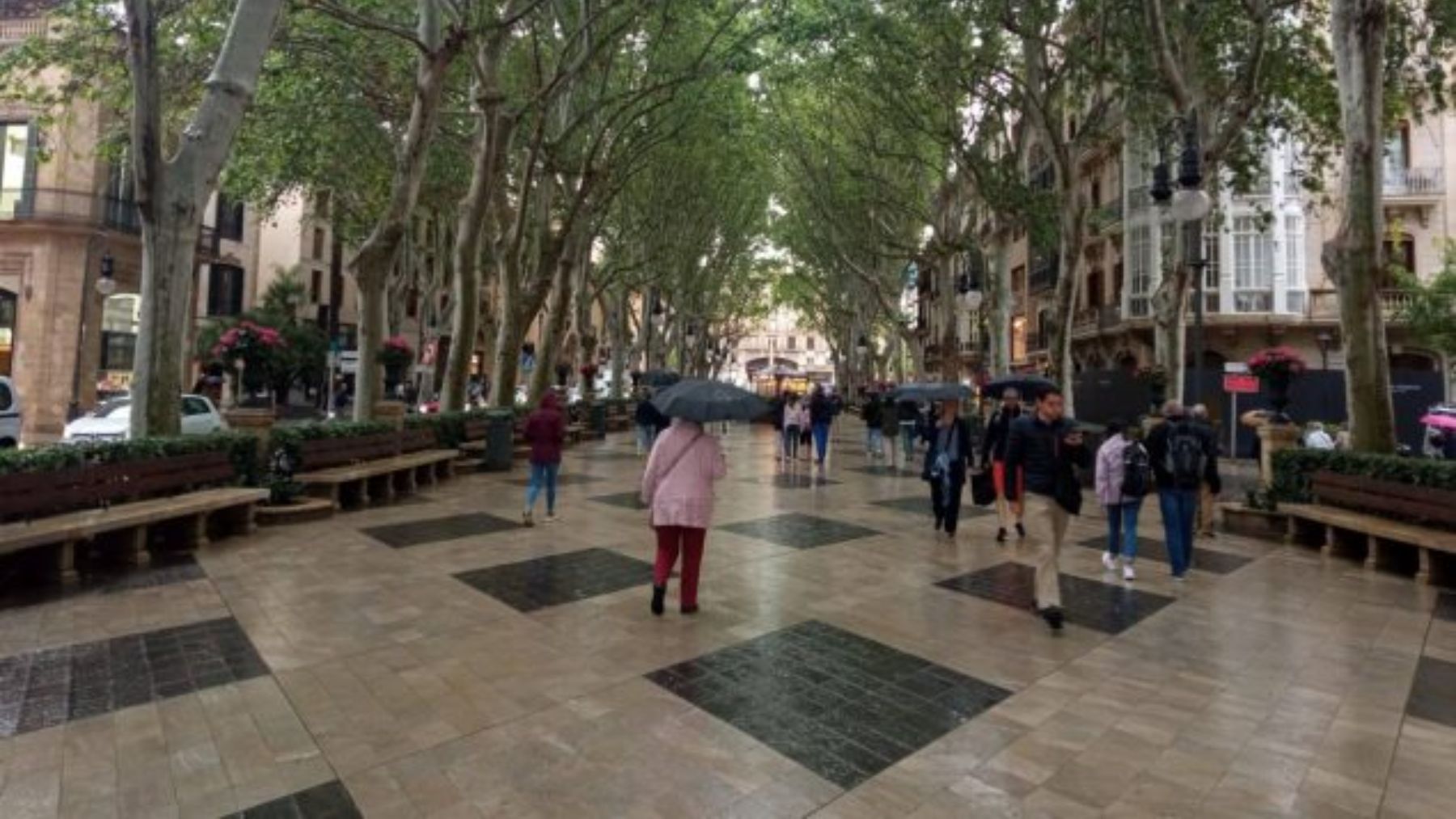 Personas refugiándose de la lluvia en el centro de Palma.