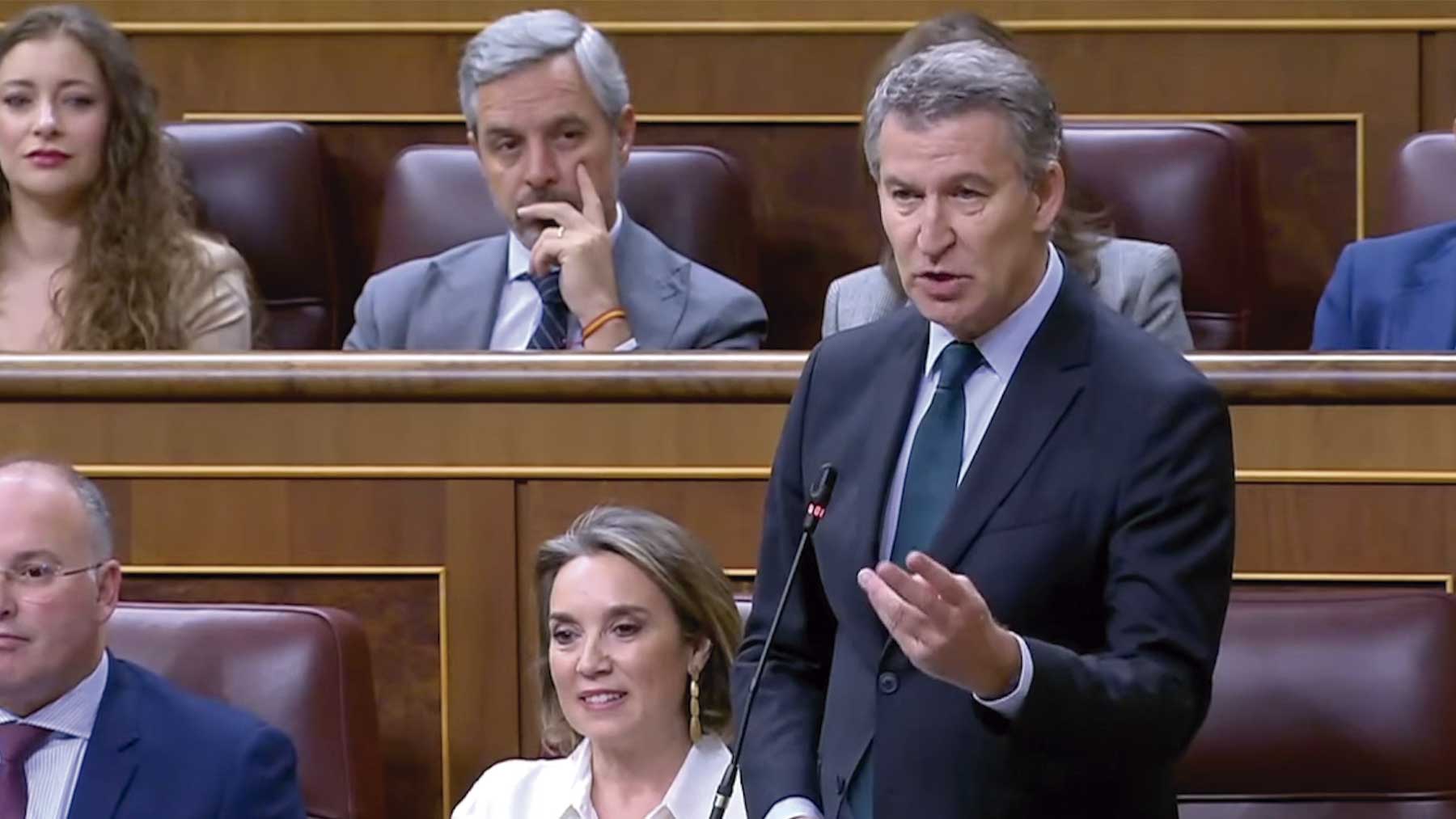 Alberto Núñez Feijóo, líder del PP. (Foto: EFE)