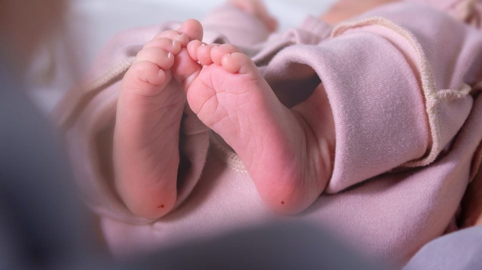 El cribado neonatal podría evitar la reducción drástica de esperanza de vida por hipercolesterolemia