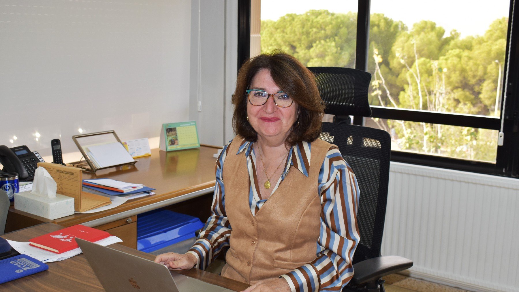 Amparo Navarro, rectora de la Universidad de Alicante (UA).