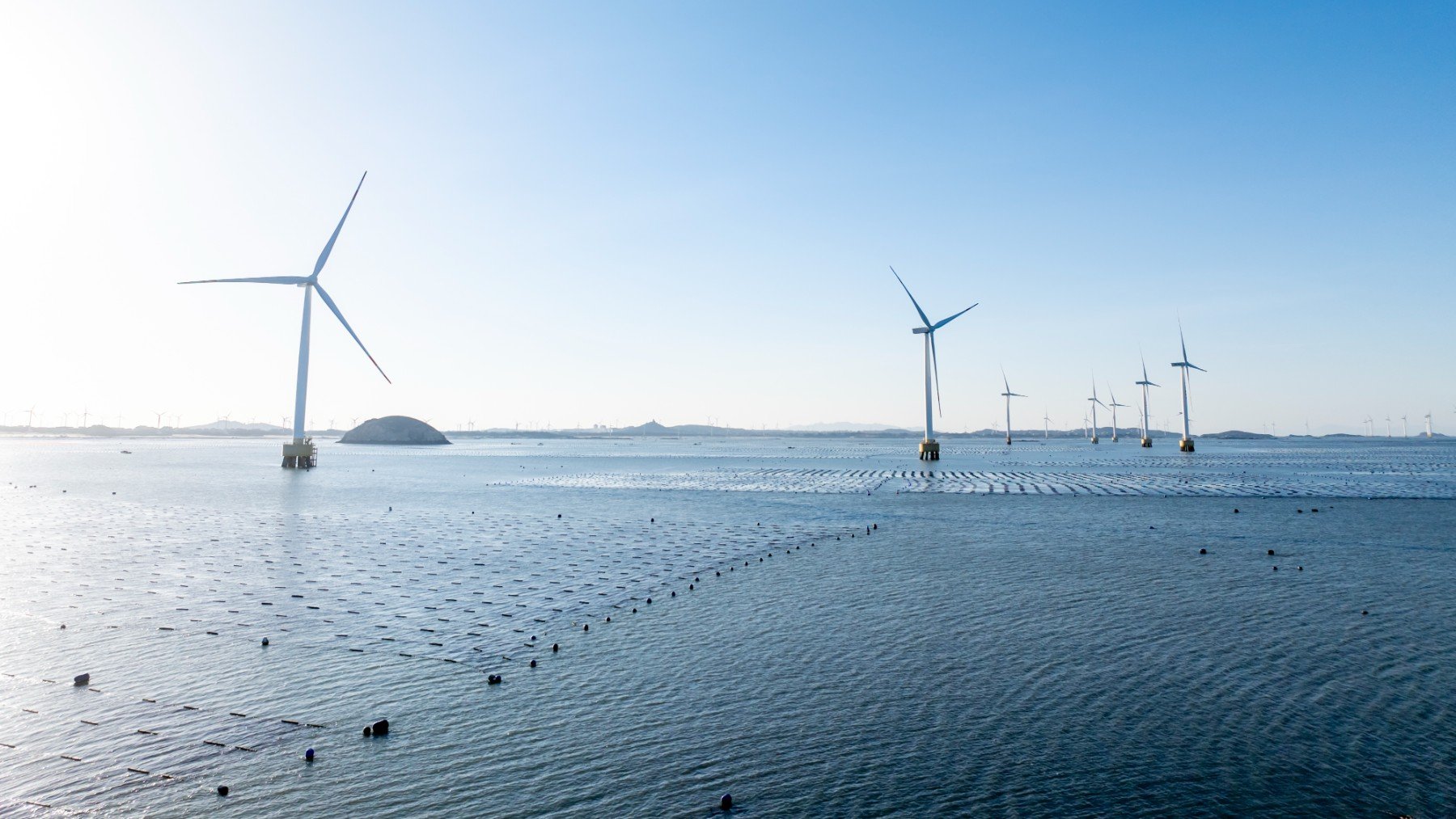 Sánchez apuesta por un único macroparque de eólica marina en España sin estudiar su impacto en la pesca