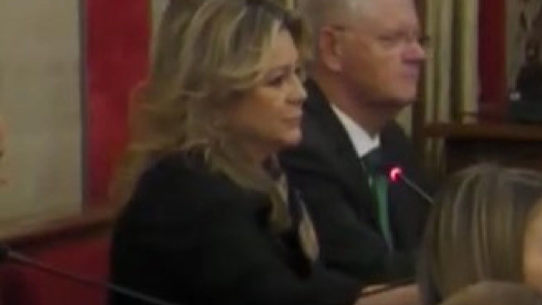 La edil Cristina García en el Pleno de este jueves en el Ayuntamiento de Alicante.