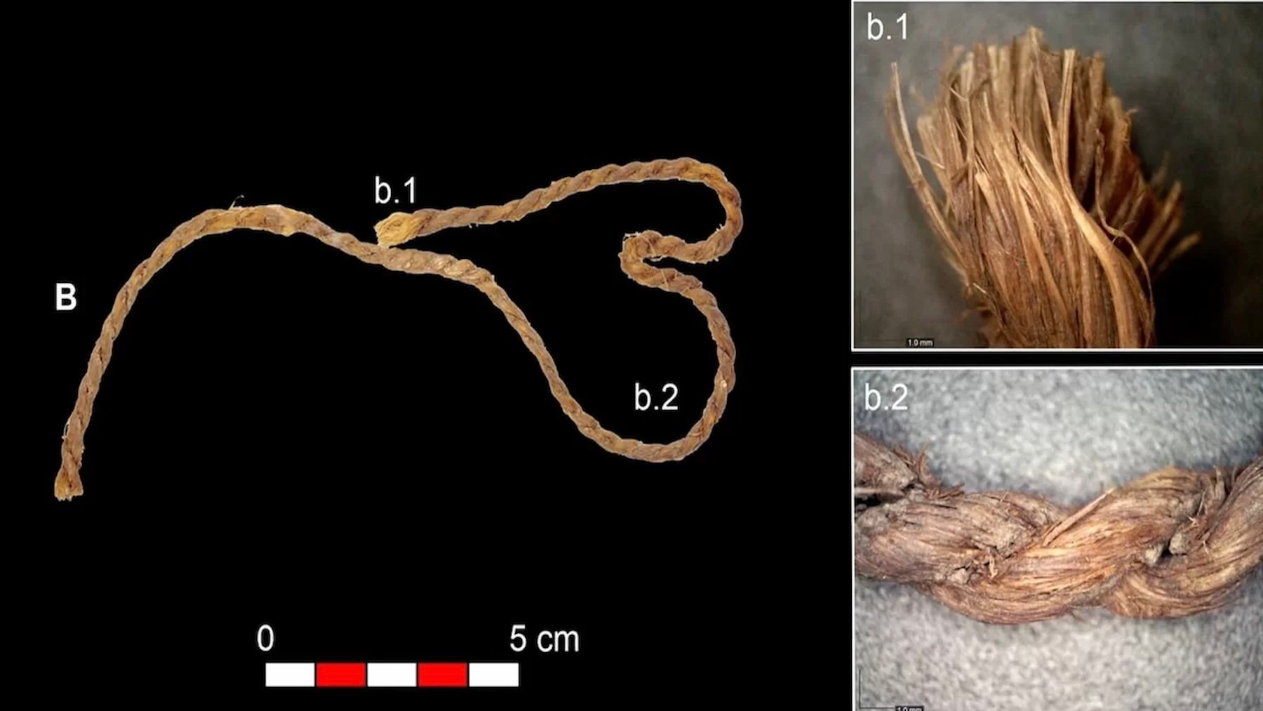 Fragmentos de cordaje de la Cueva de los Murciélagos.